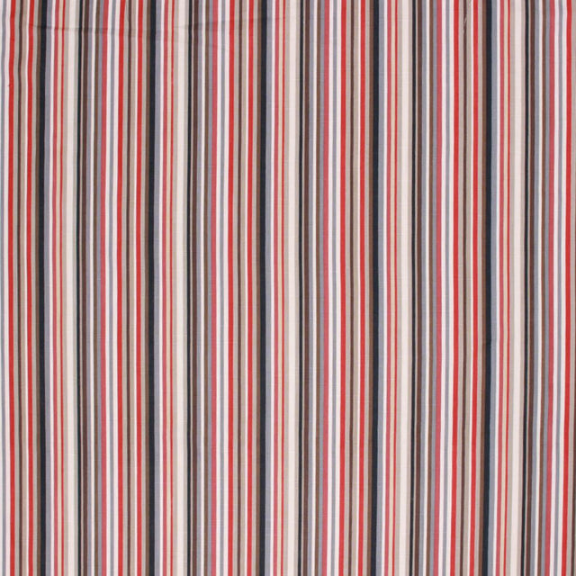 Eade's RMCoco-12710334-sample MOONBEAM