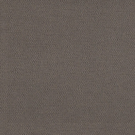 Eade's RMCoco-1252543-sample Chinchilla