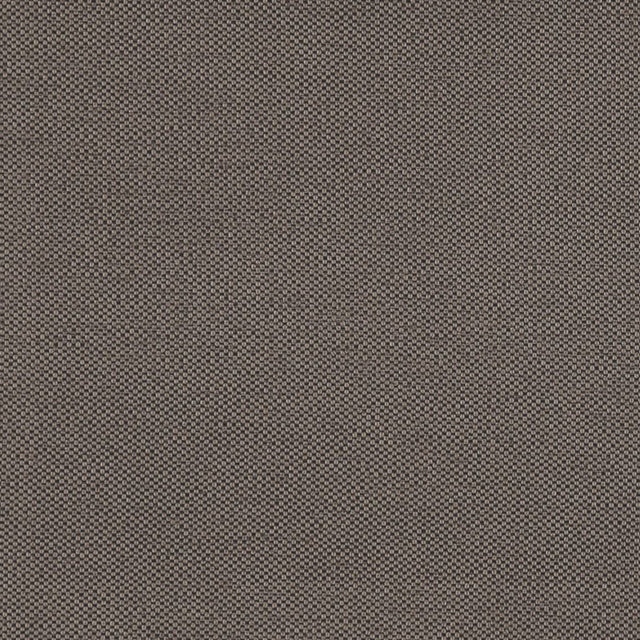 Eade's RMCoco-1252543-sample Chinchilla