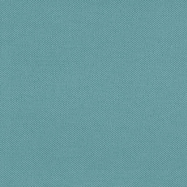 Eade's RMCoco-1252548-sample Dragonfly