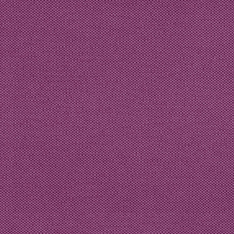 Eade's RMCoco-1252556-sample Tulip