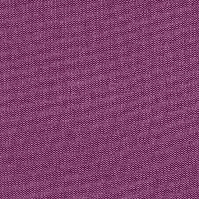 Eade's RMCoco-1252556-sample Tulip