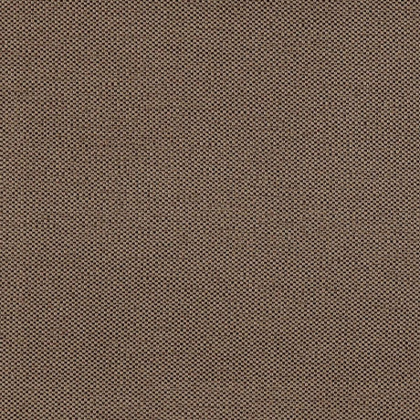 Eade's RMCoco-1252542-sample Otter