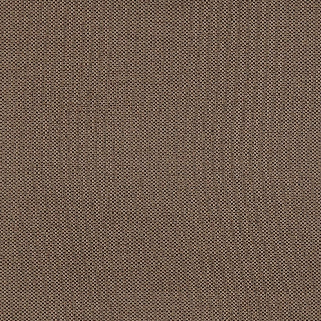 Eade's RMCoco-1252542-sample Otter