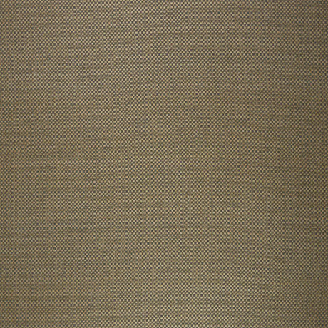 Eade's RMCoco-9911065-sample CANYON