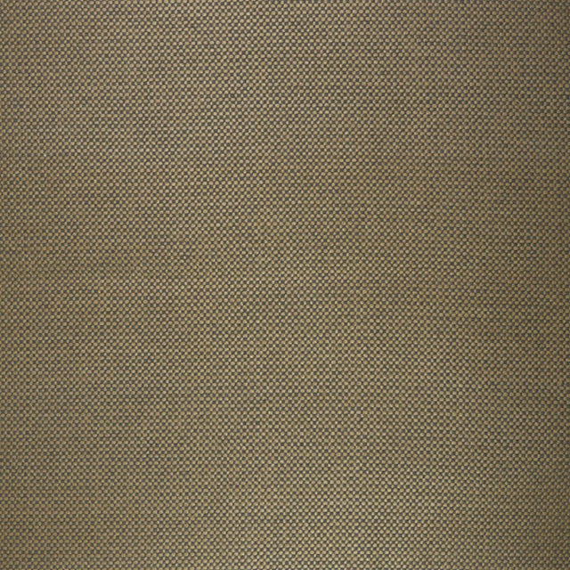 Eade's RMCoco-9911065-sample CANYON