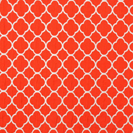 Eade's RMCoco-2306CB650-sample LADYBUG