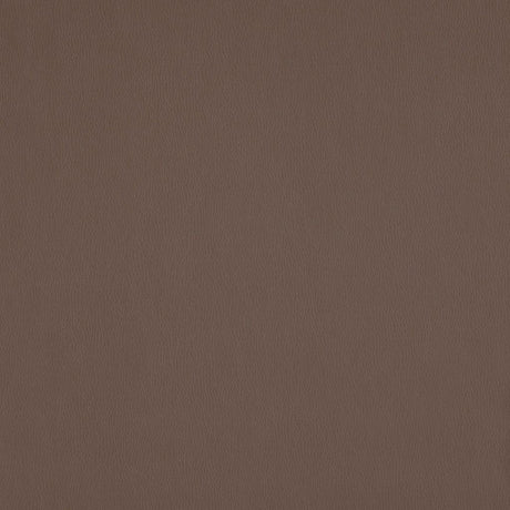 RM Coco BECKETT FUNGHI - Eade's