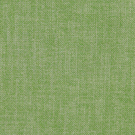 Eade's RMCoco-1241630-sample FERN