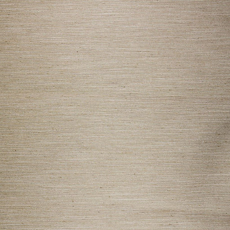 Eade's RMCoco-99507913-sample Beach