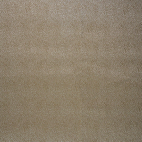 Eade's RMCoco-99280405-sample NOUGAT