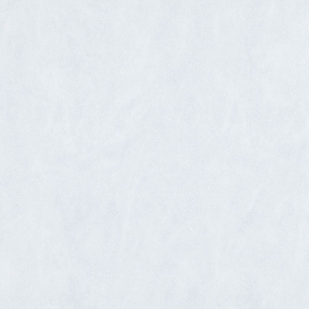 Eade's RMCoco-1247906-sample SNOW