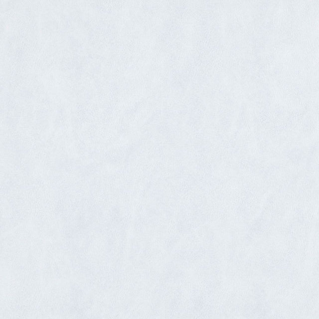 Eade's RMCoco-1247906-sample SNOW