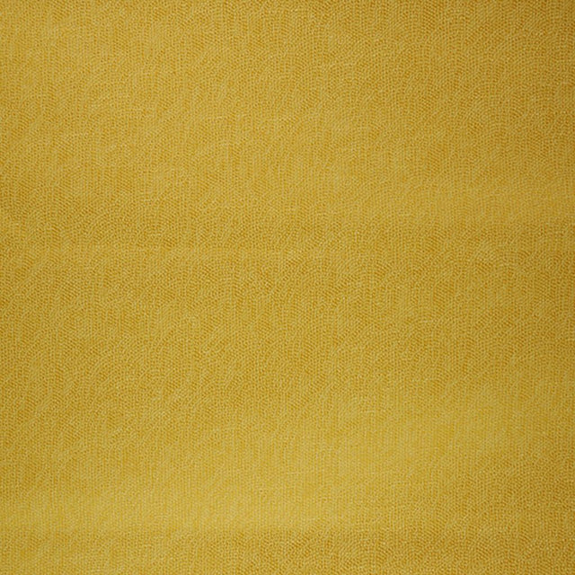 Eade's RMCoco-99552839-sample Daffodil