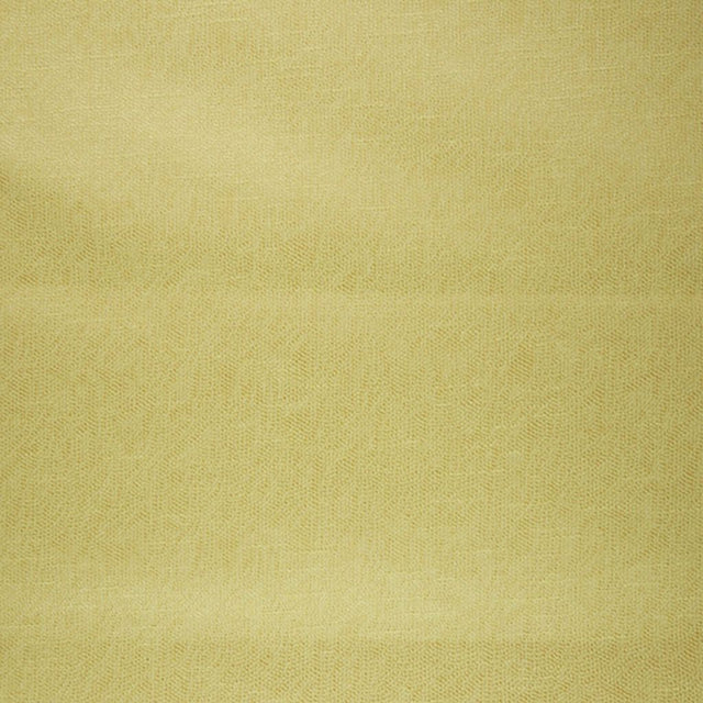 Eade's RMCoco-99553839-sample Dandelion