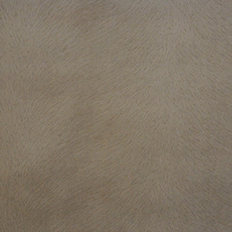 Eade's RMCoco-2246CB131-sample TAUPE