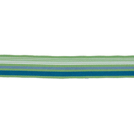 RM Coco BD103 BORDER 1 7/8" CITRUS - Eade's