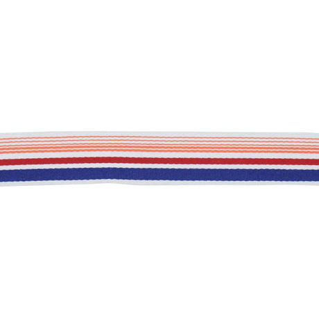 RM Coco BD103 BORDER 1 7/8" SUNSET - Eade's