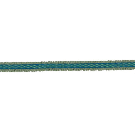RM Coco BD106 BORDER .75" CITRUS - Eade's