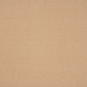 Eade's RMCoco-59313207-sample Camel