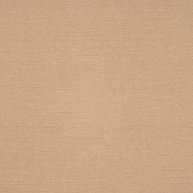 Eade's RMCoco-11668207-sample Camel