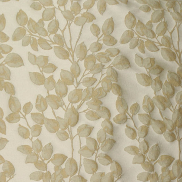 RM Coco PRIMO GOLDENROD - Eade's