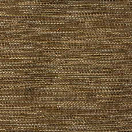 Eade's RMCoco-12404512-sample PORCINI