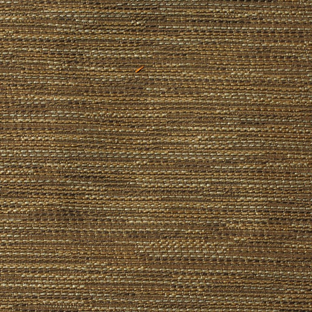 Eade's RMCoco-12404512-sample PORCINI