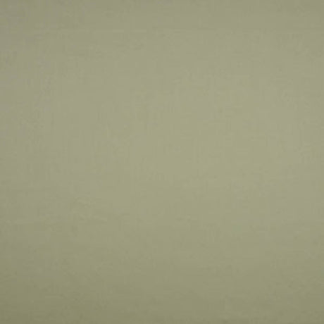 Eade's RMCoco-12290224-sample MINERAL