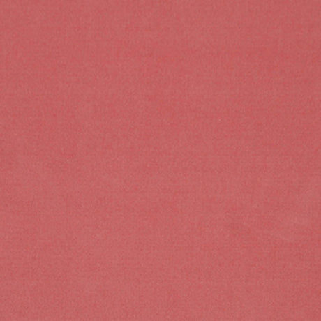 Eade's RMCoco-9560249-sample Rose