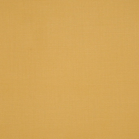 Eade's RMCoco-1212581-sample YOLK