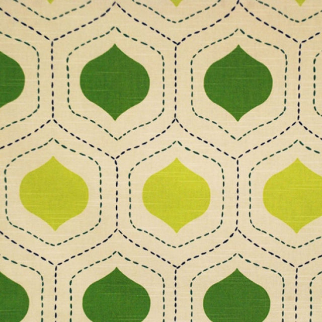 Eade's RMCoco-89484315-sample Kiwi