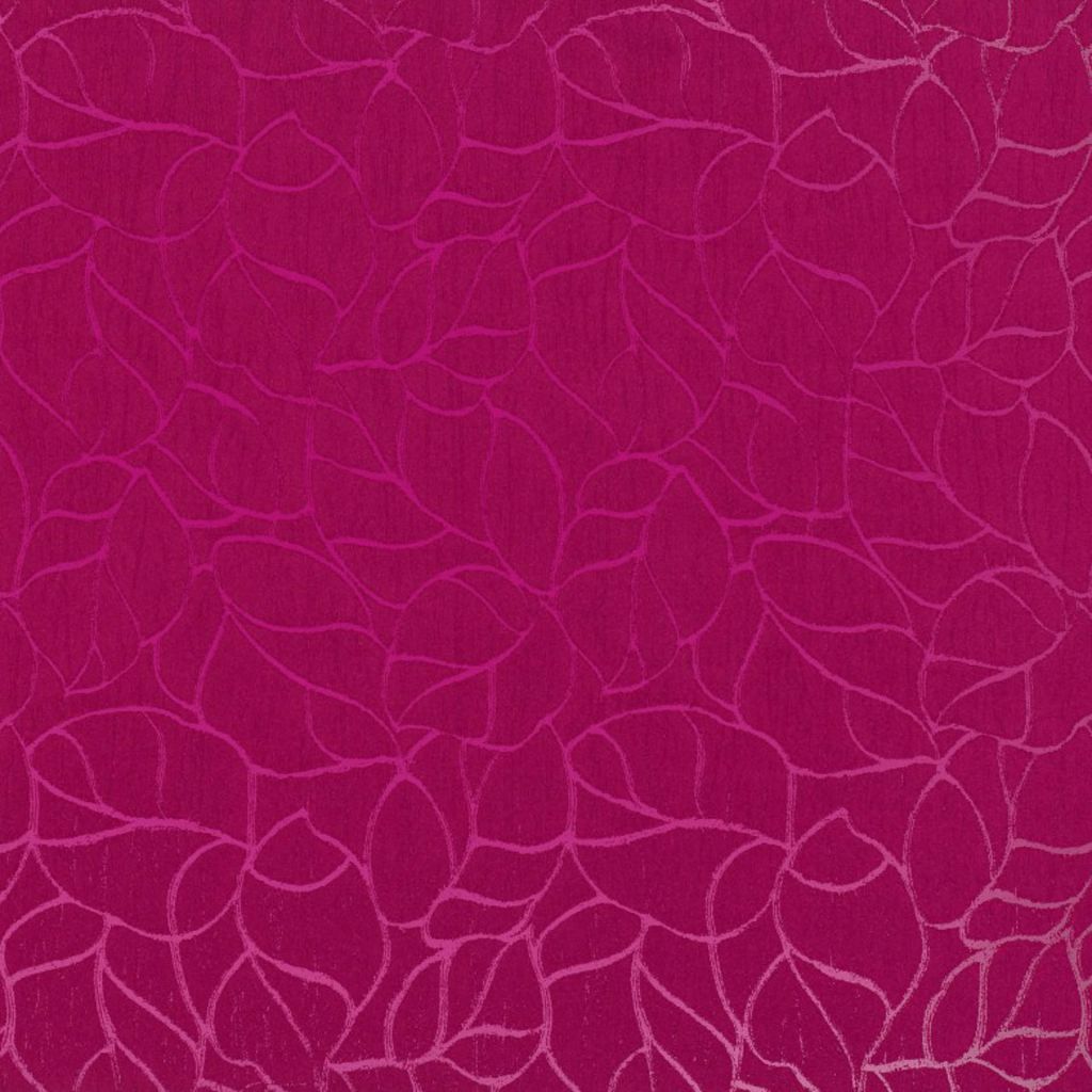 Eade's RMCoco-1223629-sample ANEMONE