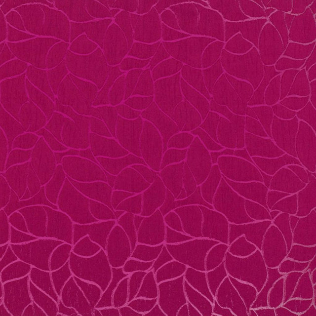 Eade's RMCoco-1223629-sample ANEMONE