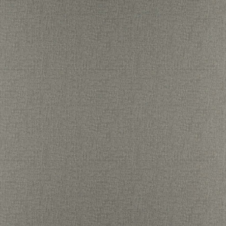 Eade's RMCoco-136634-sample Chinchilla