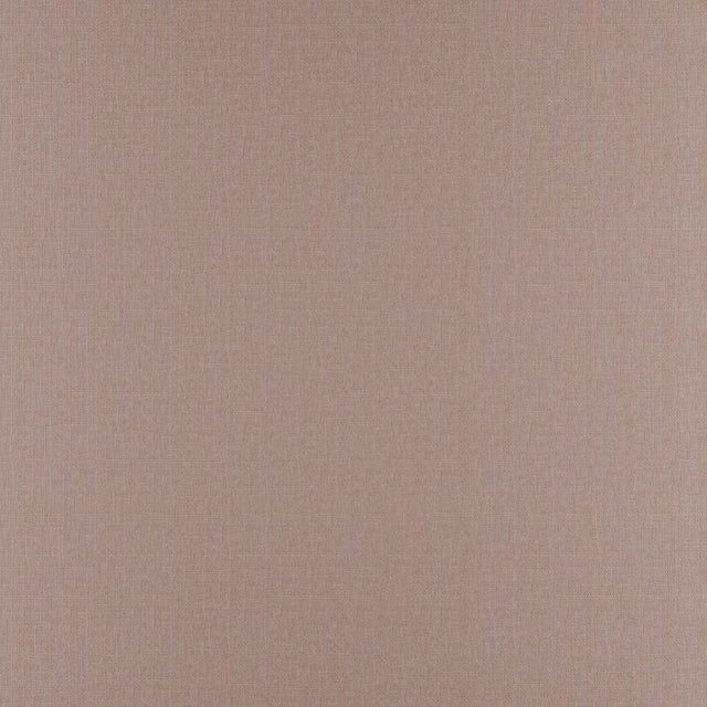 Eade's RMCoco-1366327-sample Orchid