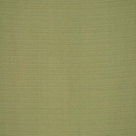 RM Coco EQUUS KIWI - Eade's