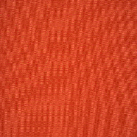 RM Coco EQUUS MANDARIN - Eade's