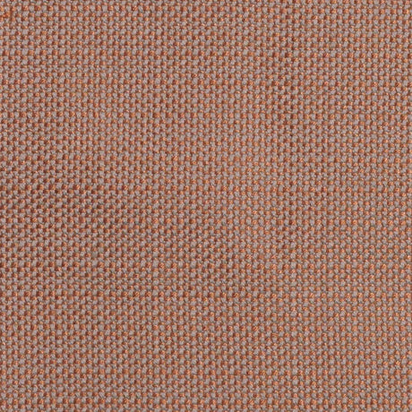 Eade's RMCoco-1207820-sample MINERAL