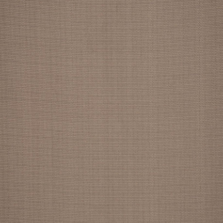 Eade's RMCoco-1207834-sample MUSHROOM