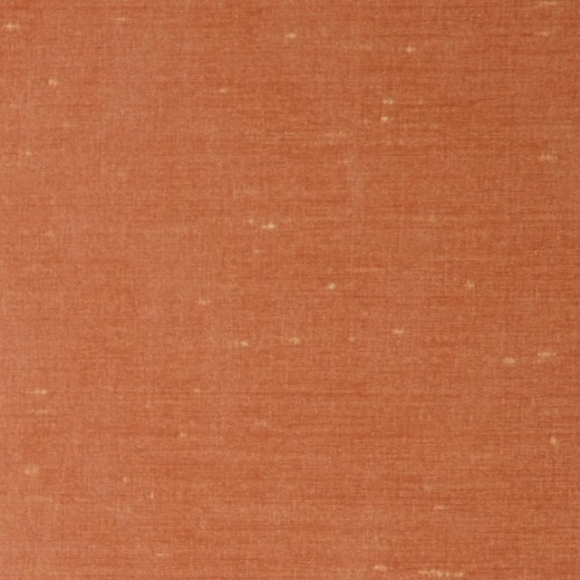 RM Coco CARINA APRICOT - Eade's