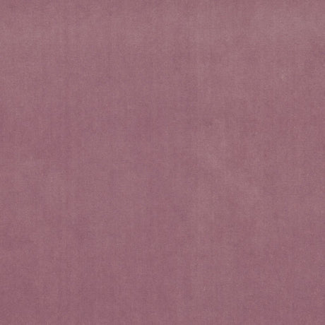 Eade's RMCoco-11982249-sample Amethyst