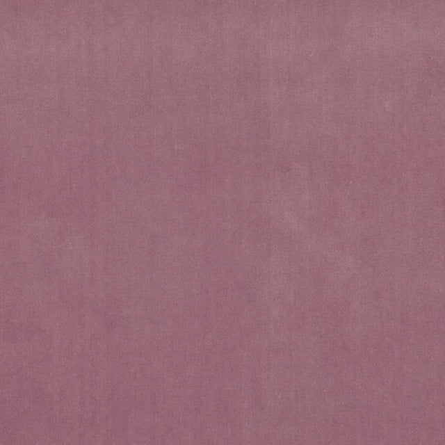 Eade's RMCoco-11982249-sample Amethyst