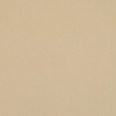 Eade's RMCoco-11982827-sample Snow