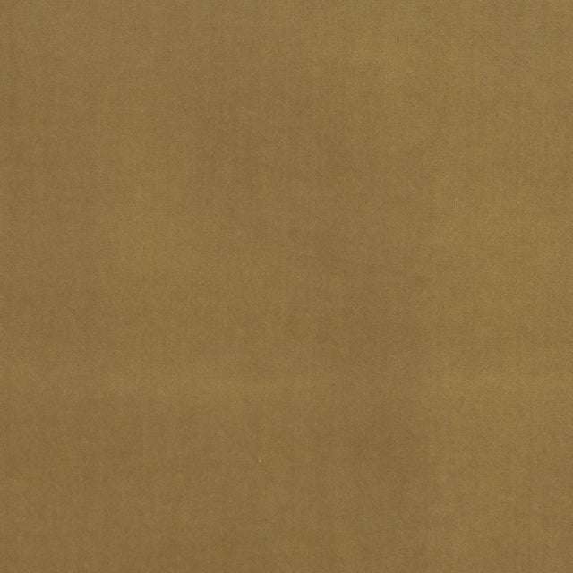 Eade's RMCoco-11982128-sample Lichen