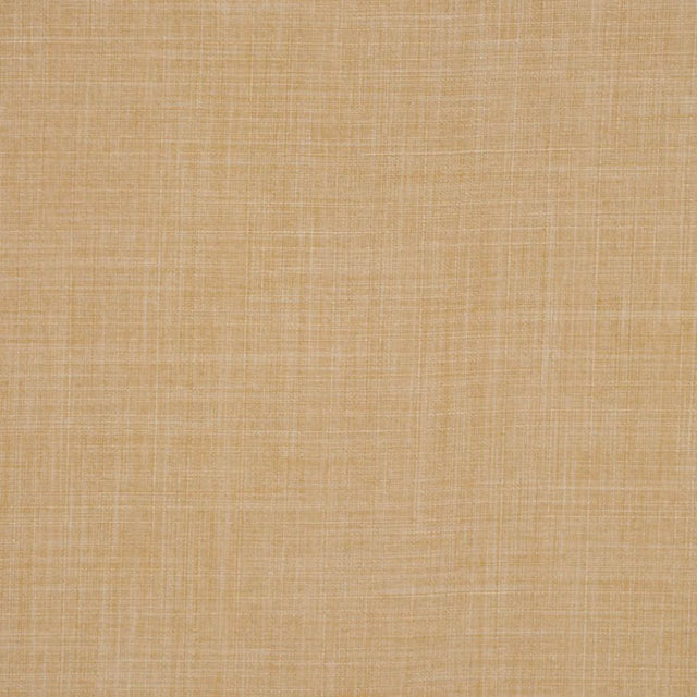 Eade's RMCoco-D0276108-sample PUTTY