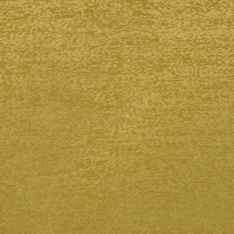 RM Coco LUMINARY FERN - Eade's