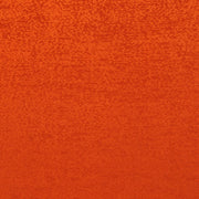 Eade's RMCoco-1208128-sample TERRA