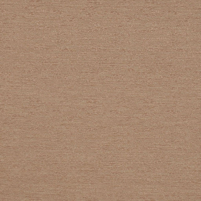 Eade's RMCoco-76930266-sample Latte