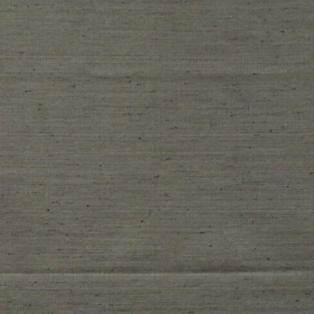 Eade's RMCoco-884593-sample Shark